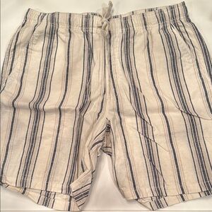 Men's Striped Swim Shorts - Blue and White